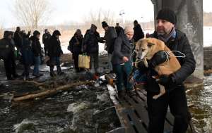 perro guerra Ucrania